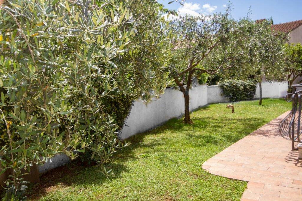 Villa Sveta Eufemija - Bed And Breakfast Ровинь Экстерьер фото